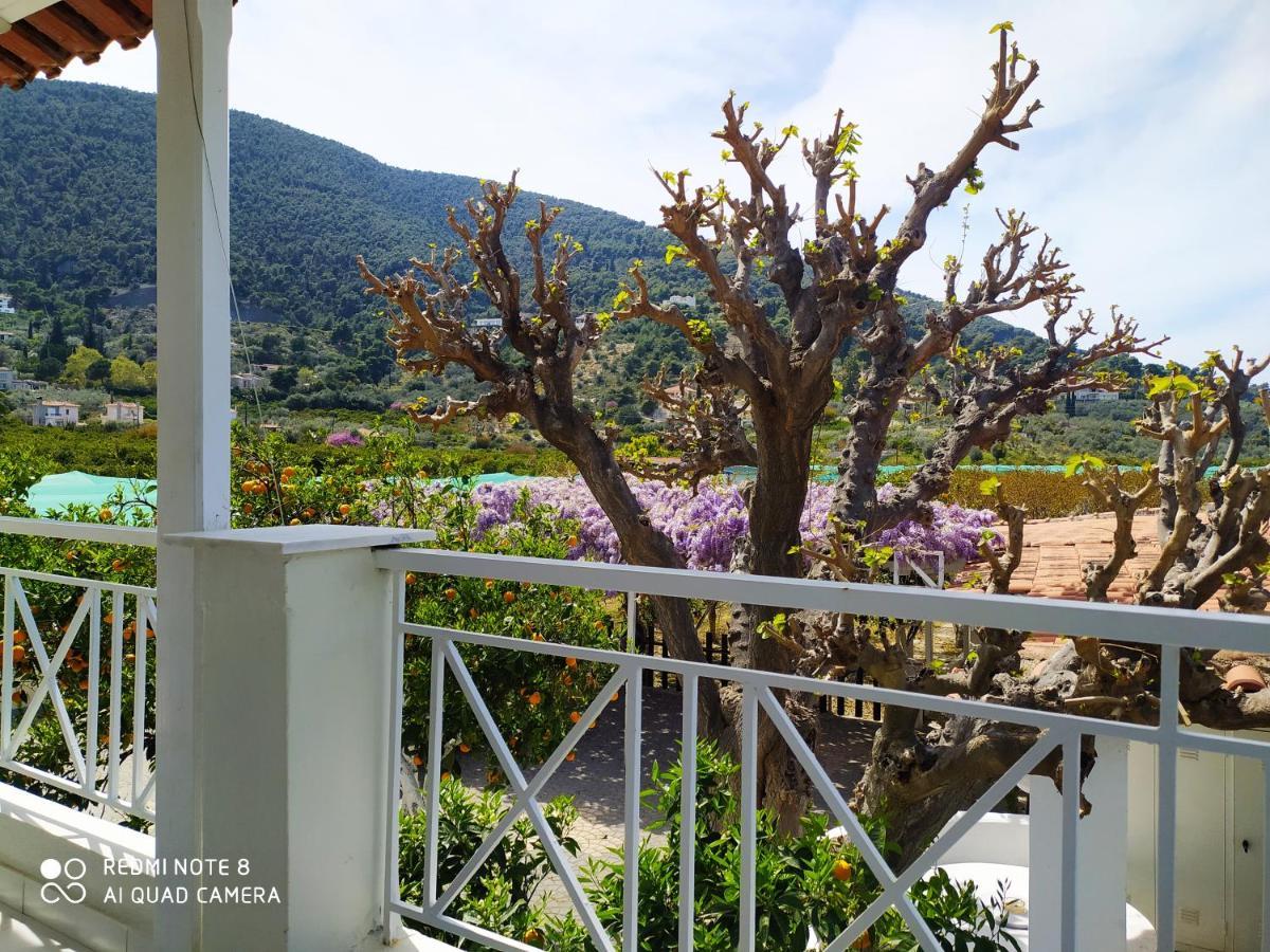 Sea Waves Apartments เนอา เอปิดาวรอส ภายนอก รูปภาพ